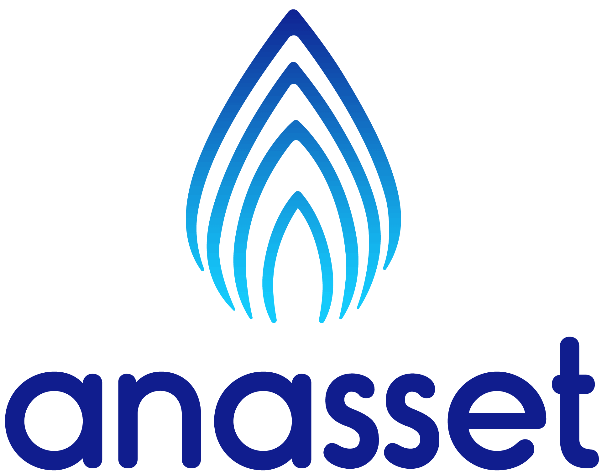 Anasset primary logo