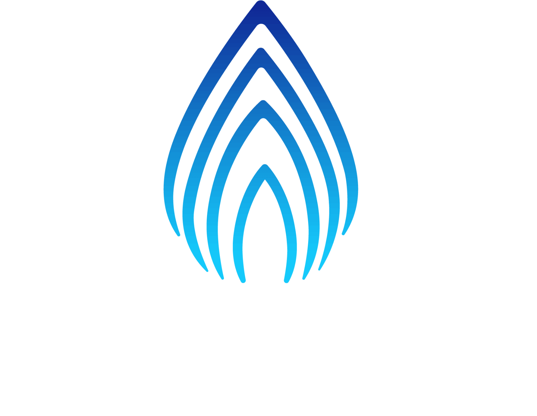 Anasset alternative logo with white text